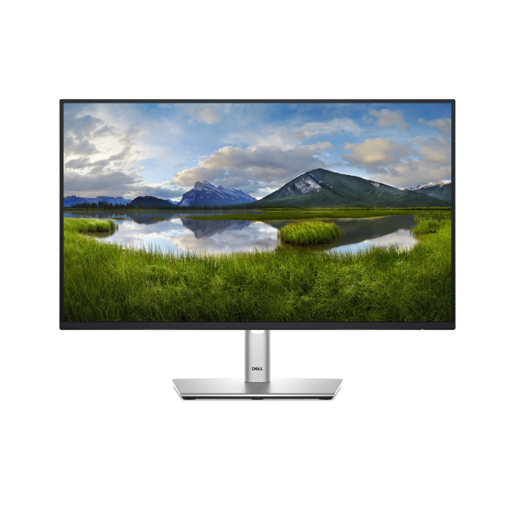 Monitor Dell P2425H 23.8" FHD 100Hz Negro